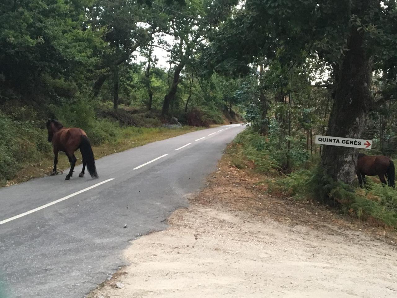 Quinta Geres Hotell Terras de Bouro Eksteriør bilde